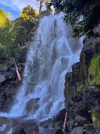 CarrosdeFoc_LaSagra_4