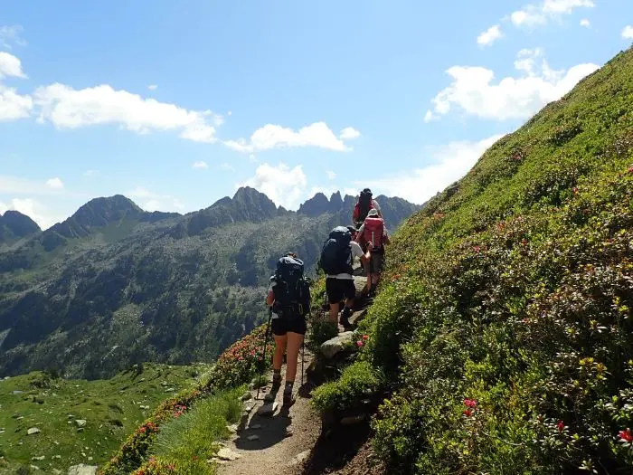 CarrosdeFoc_LaSagra_7