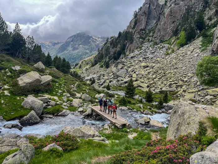 CarrosdeFoc_LaSagra_9